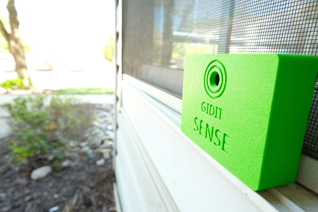 Gidit Sense on a windowsill, watching the weather outside